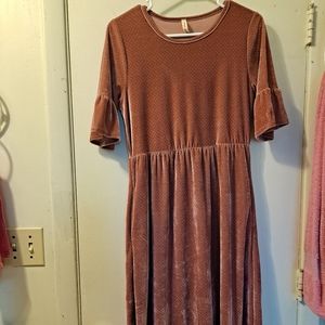 Dark rose velvet dress